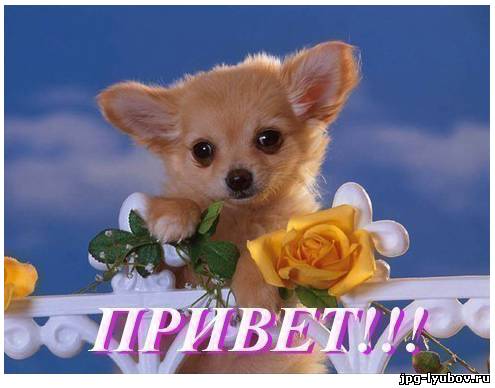 c6a45fded02d180c15293372affd826d.jpg
