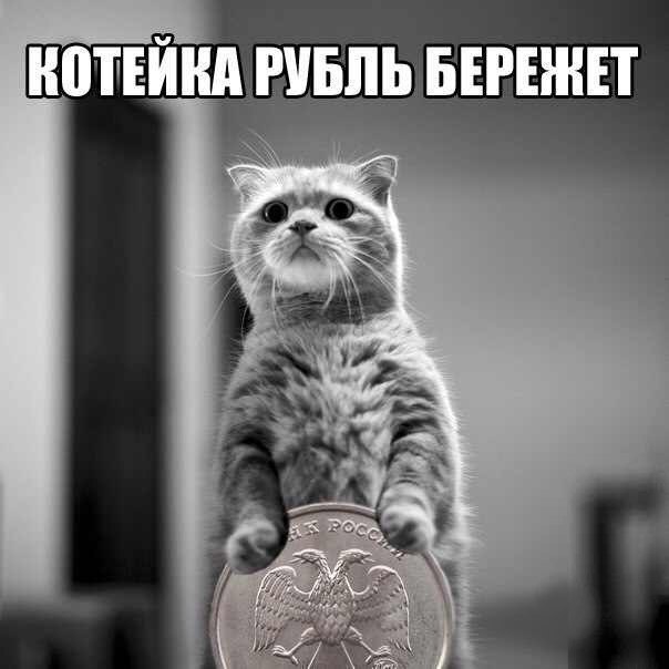 рубль котейке!