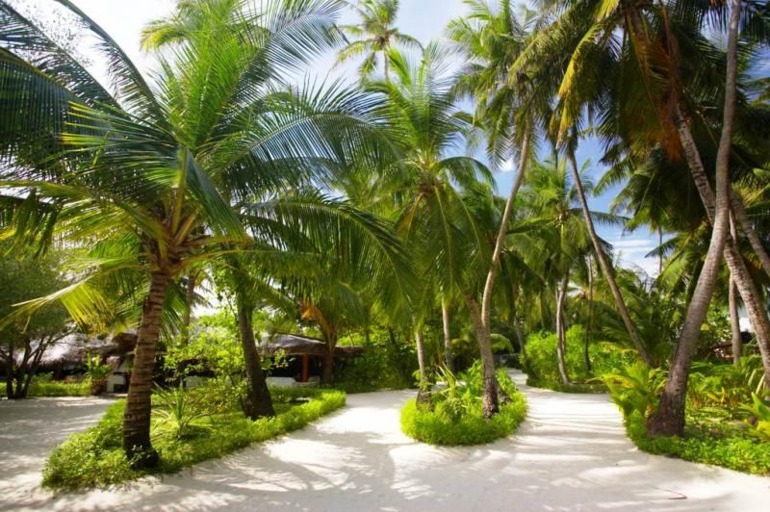 Подборка лучших туров 16 сентября. Тенерифе, Кипр, Мальдивы