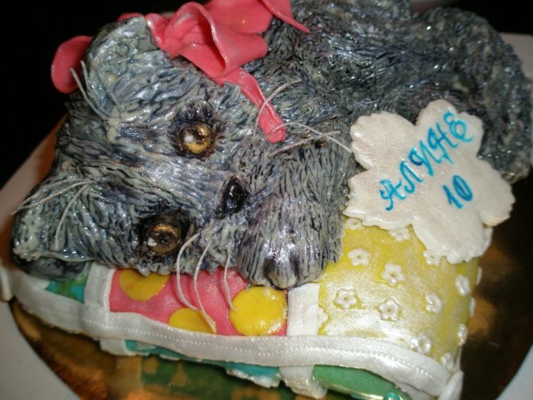 Кошечка на подушке