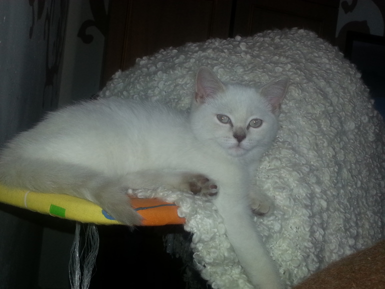 Нам 17,3))) Растём)))