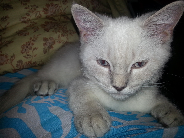 Нам 17,3))) Растём)))