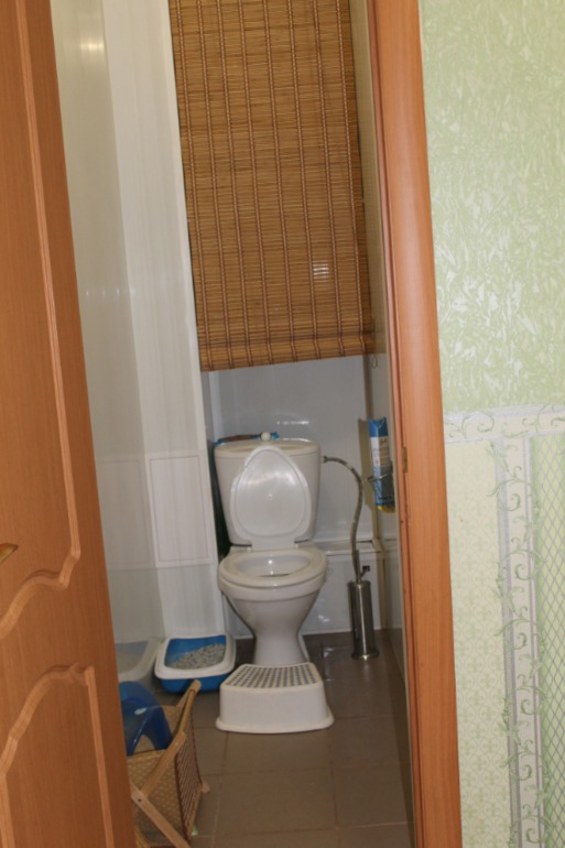 65 я снова с вами наконец-то мой организм победил вирусы.