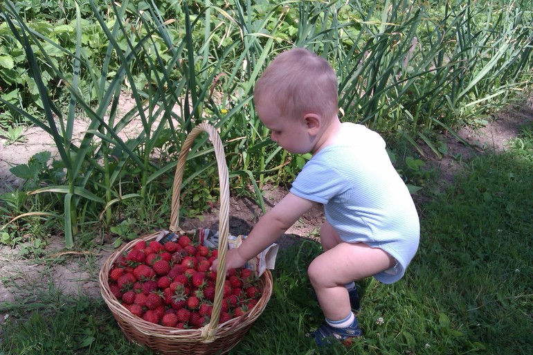 Поиграли? Теперь поработаем! 