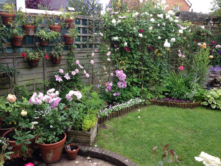 Маленький садик или сколько растений можно разместить на одной сотке.