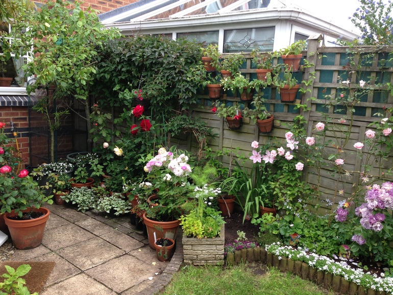 Маленький садик или сколько растений можно разместить на одной сотке.