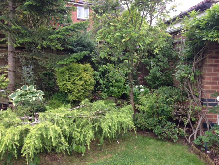 Маленький садик или сколько растений можно разместить на одной сотке.