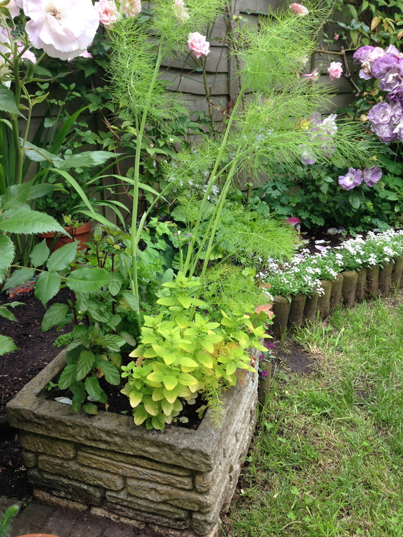 Маленький садик или сколько растений можно разместить на одной сотке.