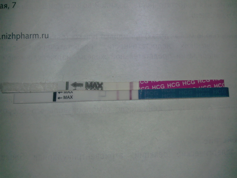 тестики на 3дз