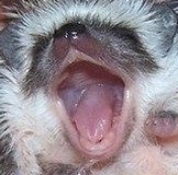 Италия 2013-14 SALE СТОП 4  АПРЕЛЯ