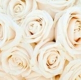 8ee0cb4b914df0ea852c79309a3a86c4.jpg