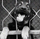 Именинницы  ◄♦◊☺ 7 ноября  ☺◊♦►