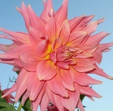 Столик заказан!)))