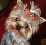 Благодарность!!!