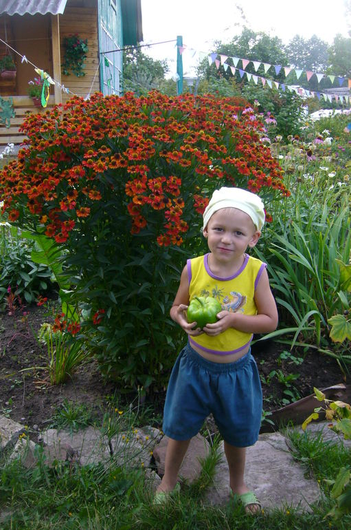 7d74ffeedfd8ae5671a05d5f74529edb.jpg
