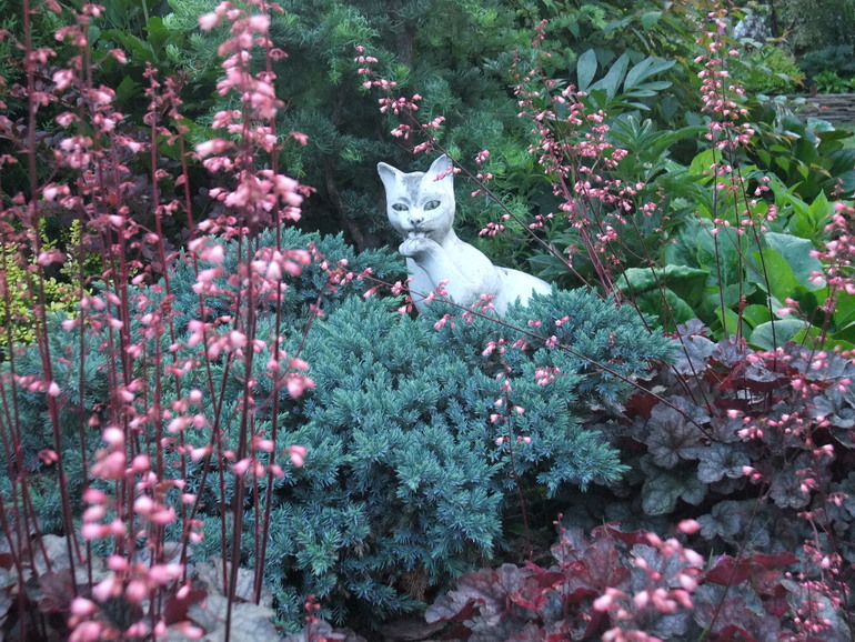 f0ea6982c56725bc2d975f2005893bbb.jpg