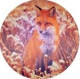 Fox-Rox