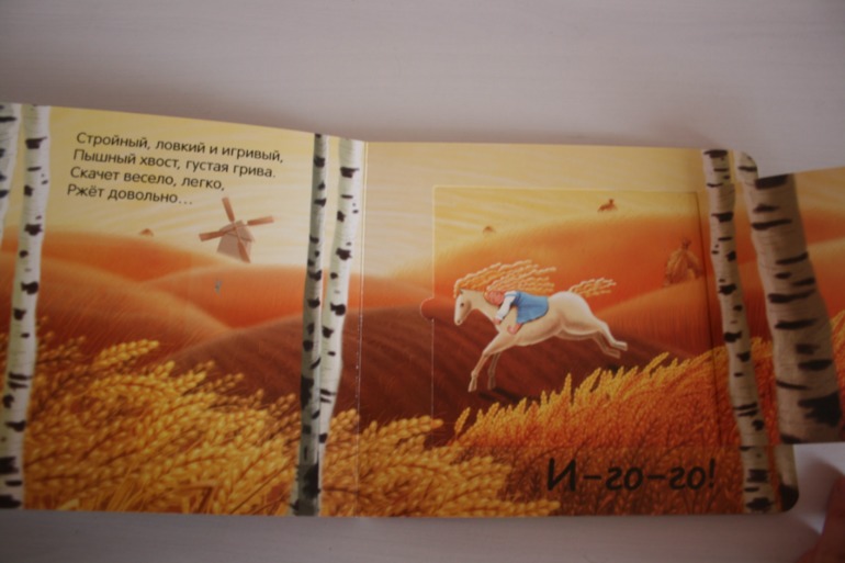 Книжки с кармашками