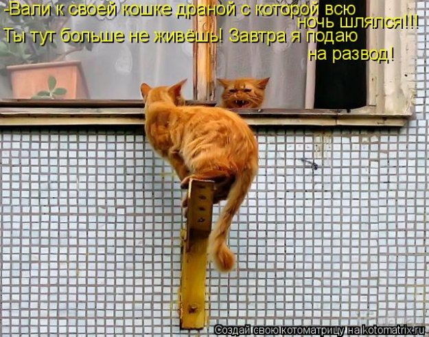 16ac549df8d038932e1dab93502c1b51.jpg
