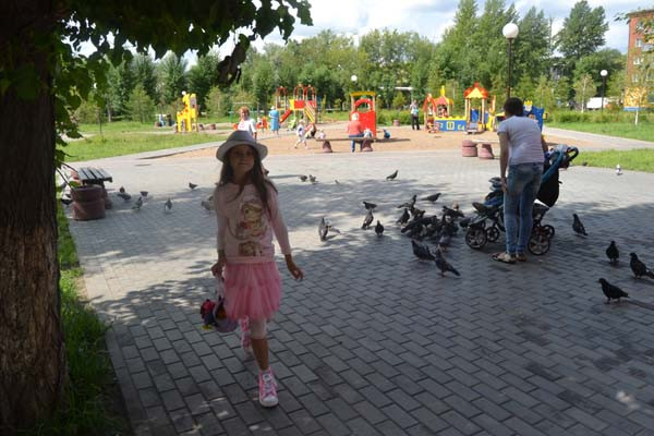 26d03370cecebd05e063255698cd4896.jpg