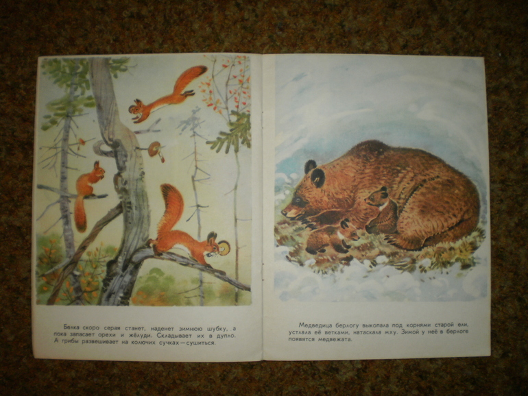 Главная осенняя книга