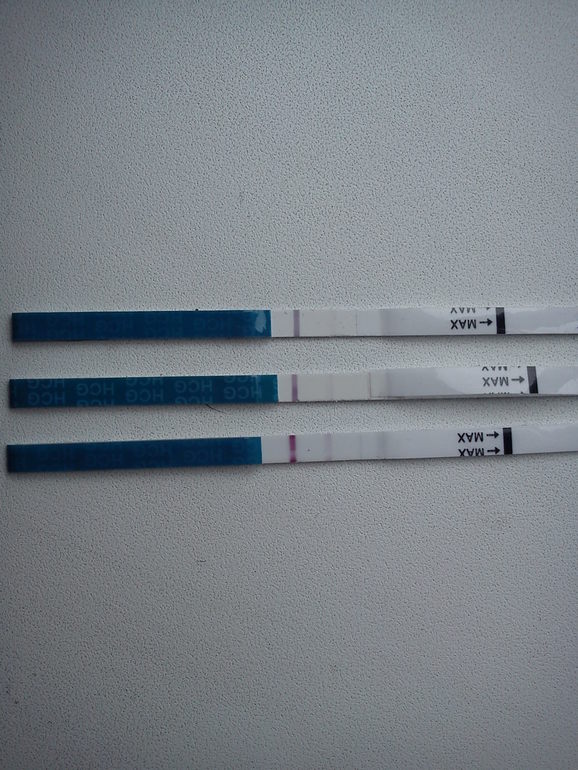 e032f2a8f73db643c8cd07caa89e7517.jpg