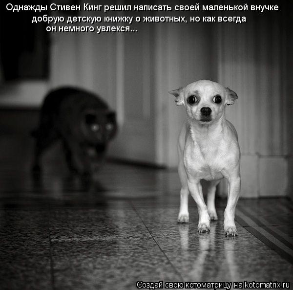 c54b2c8b29c519fd6ec44d66bc4745d5.jpg