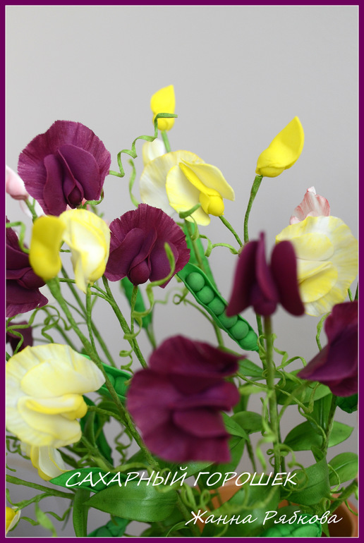 dd74543d20fbe7ad2b87d05cc5927729.jpg