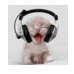 acd302282d12431aef6277cb7c01a756.gif