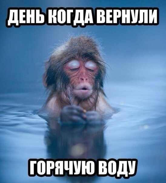 ab0749b329c6a7b8f564443e65a9b0e1.jpg