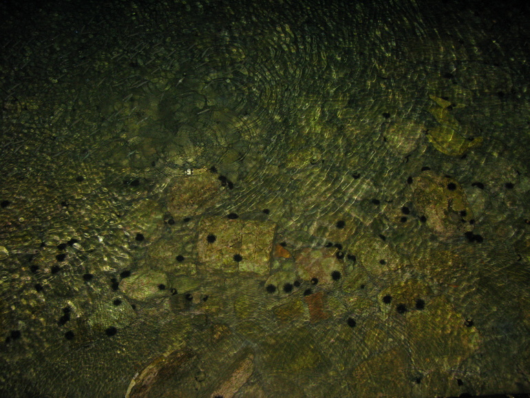 1fcce66079c68c377af2224ead715028.jpg