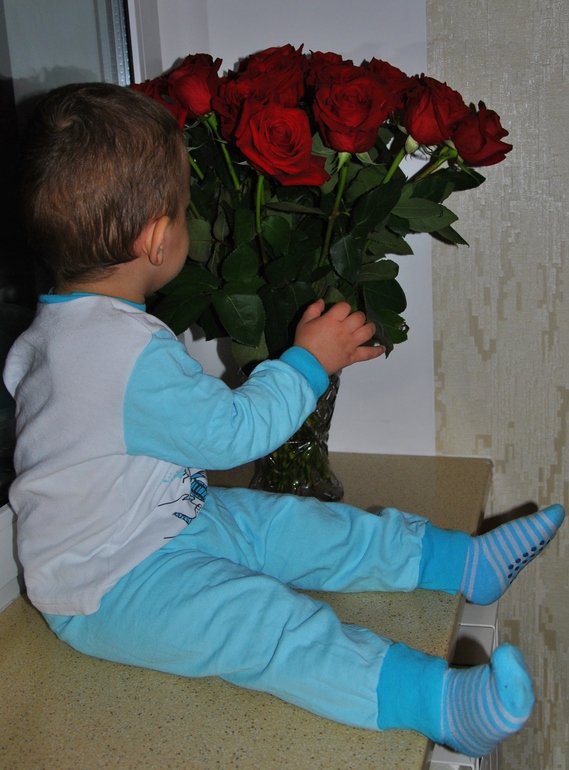 98d453454cdcb14873cadb86e6e5eaf0.jpg