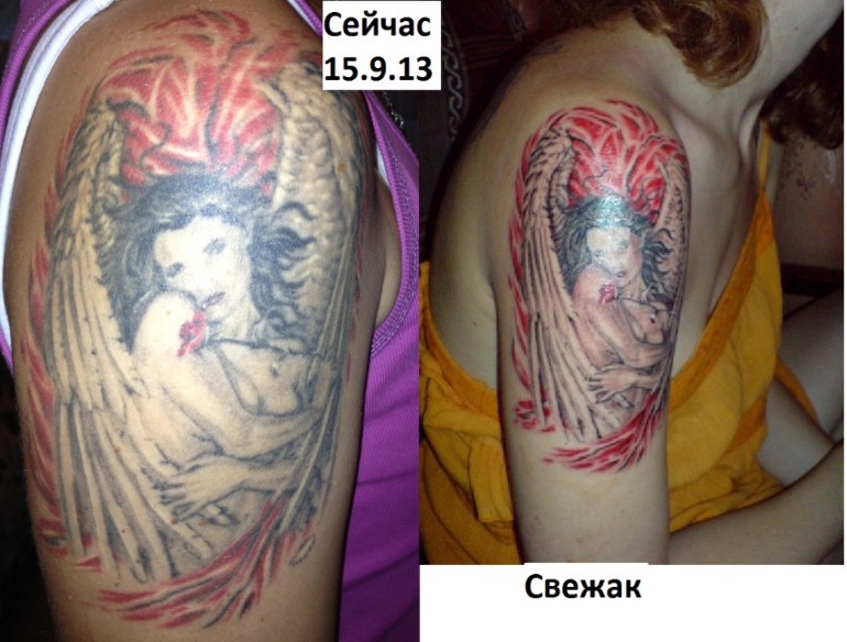 Хвастульки