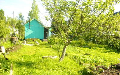Курортный р-н, город Сестрорецк, Садоводство Разлив Площадь участка 4 сотки Цена 1950 тыс.руб.