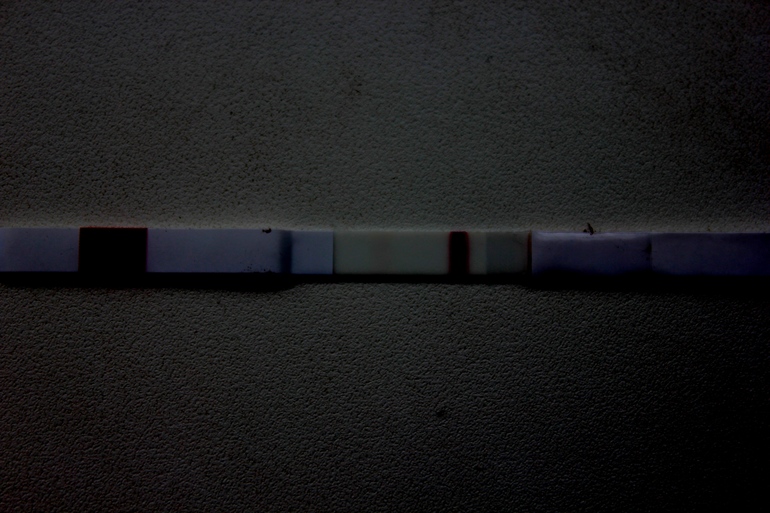 be0c428e8145d8052727886d7d28576a.jpg