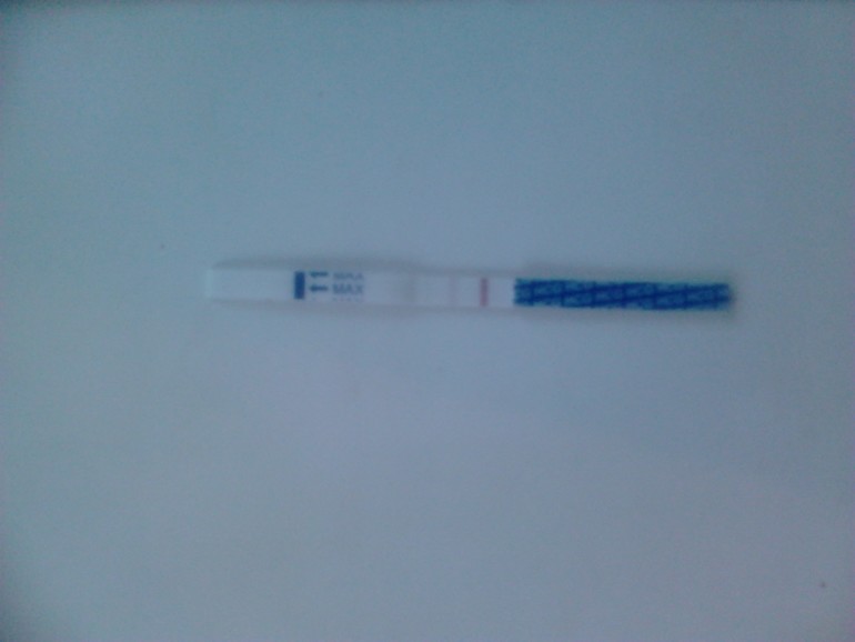3de29cfb175491b5911415cf3a219916.jpg