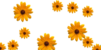 b3b8c4fc0cd2dd26d98376150fb4e25f.gif