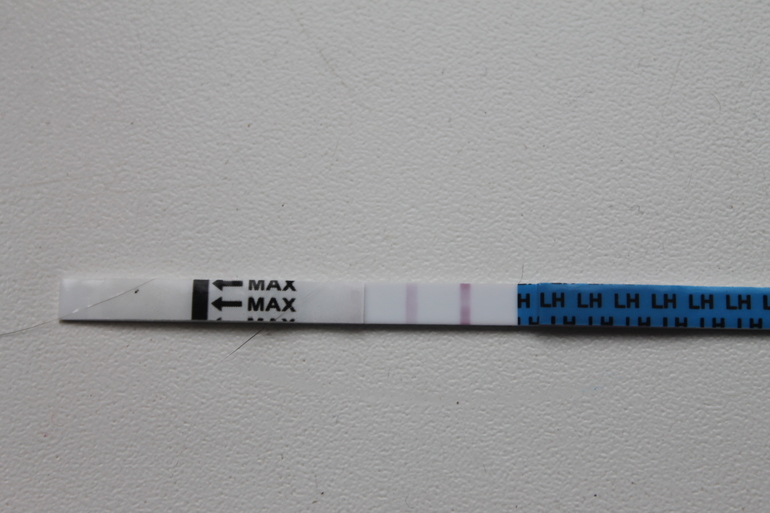 d1c5d296c6af9752ddde5a16f52a3b07.jpg