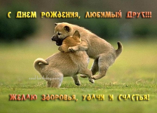 6a1034e8d0bb0d0c70f8d264d39a57bd.jpg
