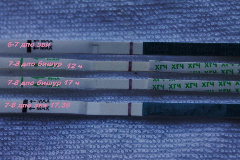 c650fe4e7aeb831cbe888d8296504535.jpg