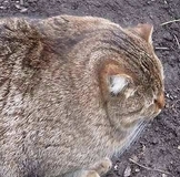 Мэри..