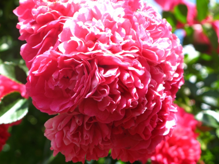 0ecd41e675bcbcaffc938b784add1b76.jpg