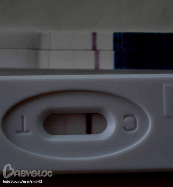 fe392f12b4eb41282e0d9f042497ae80.jpg