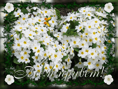 369cacf3bb9239e02db14ff678ed4780.gif