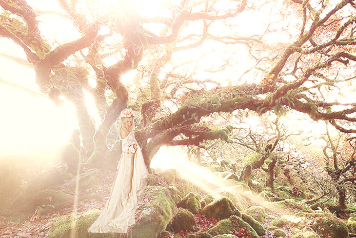 cdd0b9217ee9833c2abdff75f5d90050.jpg