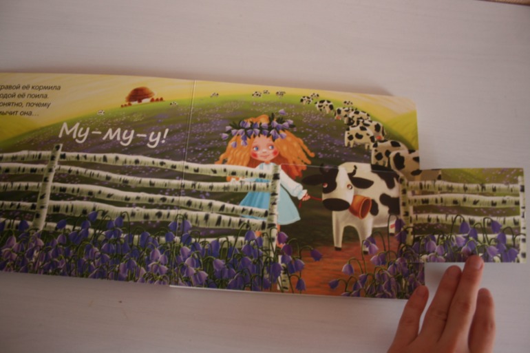 Книжки с кармашками