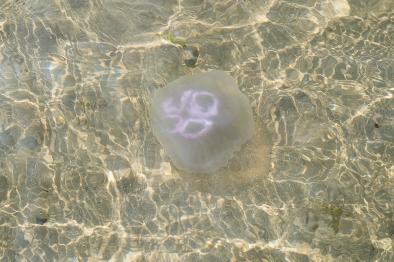 4b94f4f3e9c35be156e6c21338c5196f.jpg