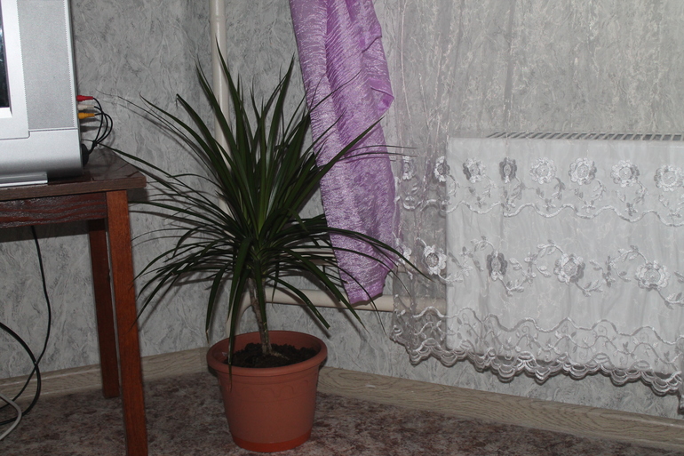 7badca22eba9d80d055bf7d5bfbad395.jpg