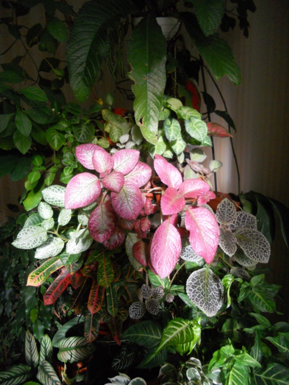 b0092eff188b2f4941574ed6816eecff.jpg