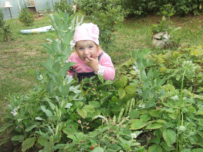 edbd1553e57bb5de5aea261ac9957083.jpg